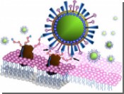 ШОК! Голландские ученые создали страшный вирус / Это мутированная форма вируса птичьего гриппа