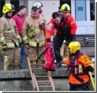 Три бригады британских пожарных дружно спасали одну белку