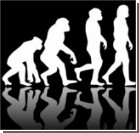 Треть американцев не верят в эволюцию человека