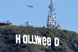  Hollywood      