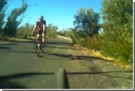 В Австралии кенгуру перепрыгнул велосипедиста
