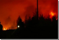 Чили охватили лесные пожары