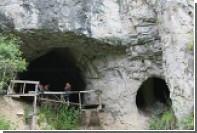В Денисовой пещере нашли древний гибрид зебры и осла