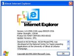 Google   Internet Explorer 6