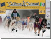    Yukon Quest   