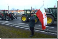 Польские фермеры потребовали компенсации за действия России и кабанов