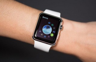 : Apple     5,1  Apple Watch,    