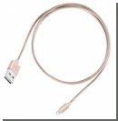 SilverStone   Lightning-    USB-A
