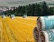 В Приднестровье обсуждают эффективность кредитования сферы сельхозпроизводства