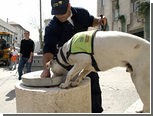 Израильтянин укусил полицейского пса