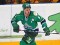 Агент подтвердил отъезд Радулова в НХЛ