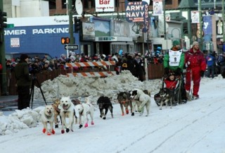 На Аляске гонку на собачьих упряжках перенесли из-за нехватки снега