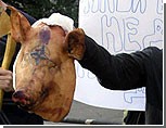 Демонстранты бросили в эстонское посольство свиную голову