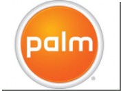 Palm       Linux