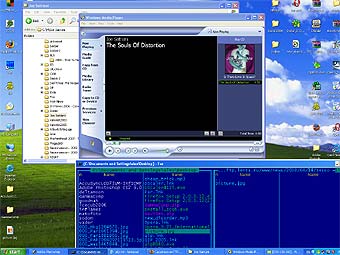  100    Microsoft  Windows XP