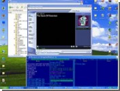  100    Microsoft  Windows XP