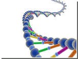 Создано шесть искусственных аналогов ДНК