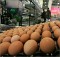 АМК настойчиво рекомендует не повышать цены на яйца