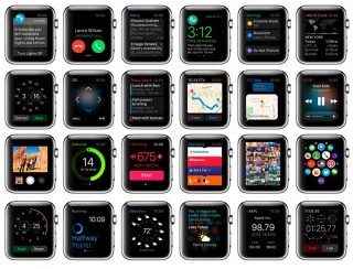     Apple Watch.   