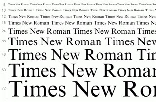   :      Times New Roman  