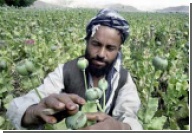 Брата президента Афганистана подозревают в связях с наркоторговцами