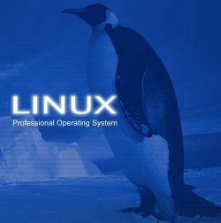    " "  Linux