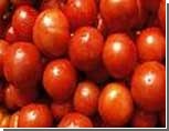 Посла Латвии в России облили томатным соком