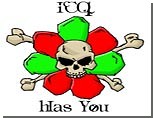     ICQ    /  ""          