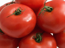 Усилия селекционеров сделали помидоры безвкусными