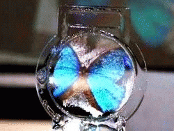 Японские ученые создали экран из мыльного пузыря