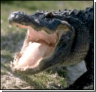 Австралийский крокодил съел девочку