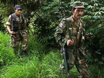    FARC