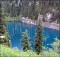 Под водой казахского озера зеленеют сосны. ФОТО