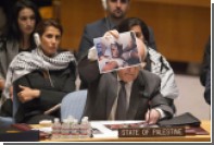Решение Совбеза ООН разочаровало Израиль и Палестину