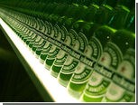 Heineken   14 