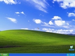  Windows XP     50 