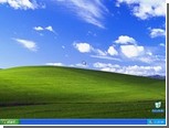  Windows XP     50 