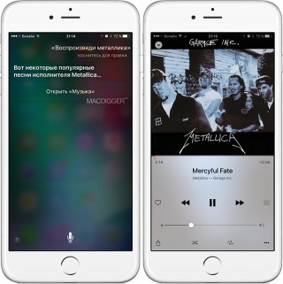 Apple      Siri  Apple Music