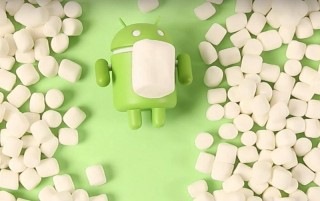 Marshmallow: Google    Android 6.0