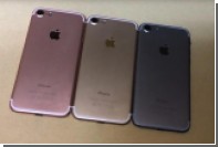 iPhone 7  iPhone 7 Plus   