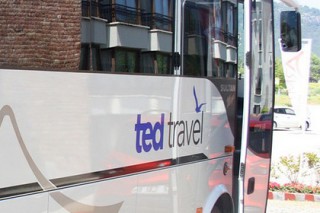 170      Ted Travel   