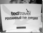  Ted Travel    