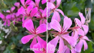 iPhone 6s  Samsung Galaxy S6  LG G4:   []