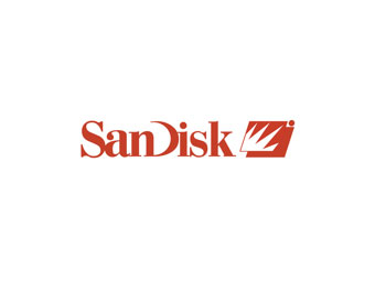 Sandisk     25  