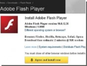 Adobe     Flash