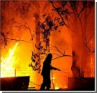 В Австралии бушуют пожары: Сидней окутан дымом, уничтожено 100 домов