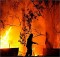 В Австралии бушуют пожары: Сидней окутан дымом, уничтожено 100 домов