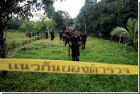Вооруженные грабители забрали из храма в Таиланде столетний палисандр