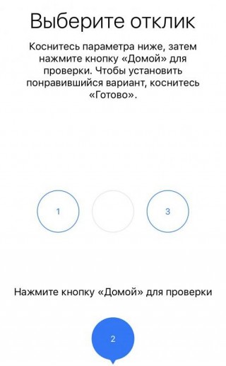     iPhone 7  