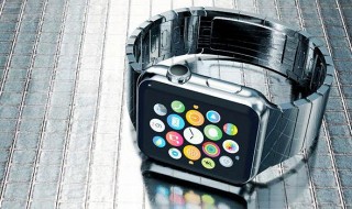     Apple Watch -  